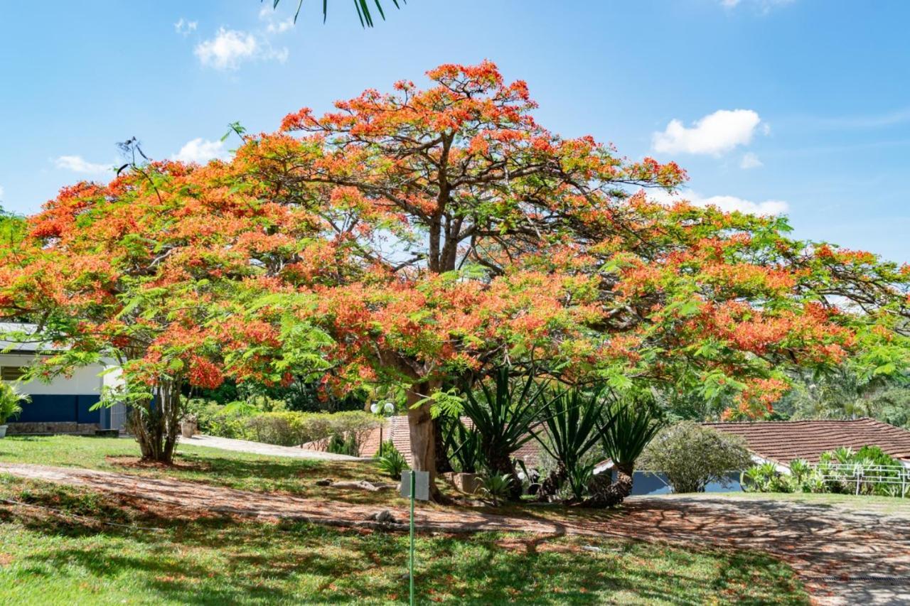 Villa Do Sossego Pousada Lindóia Eksteriør billede